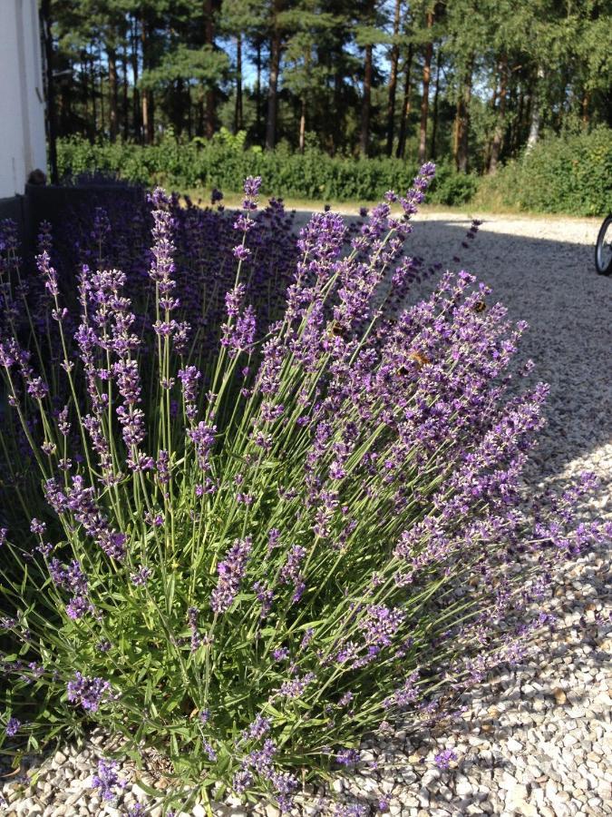 Österlencharm Löderup Exteriör bild