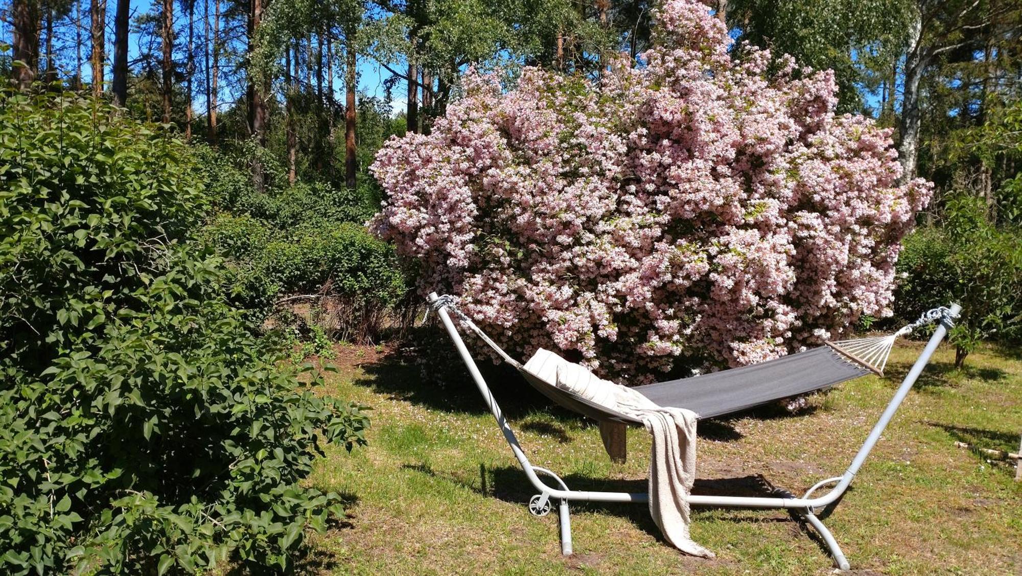 Österlencharm Löderup Exteriör bild